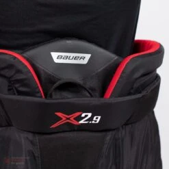 Bauer Vapor X2.9 Senior Goalie Pants -Warrior Store bauer goalie pants bauer vapor x2 9 senior goalie pants 5496832557122