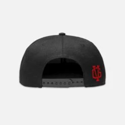 Violent Gentlemen Ivy Snapback Hat -Warrior Store violent gentlemen hats violent gentlemen ivy snapback hat 4528188063810